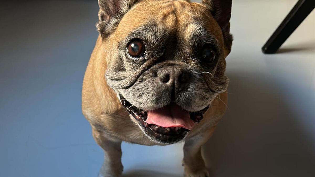 caine-mihail-pautov_78014800