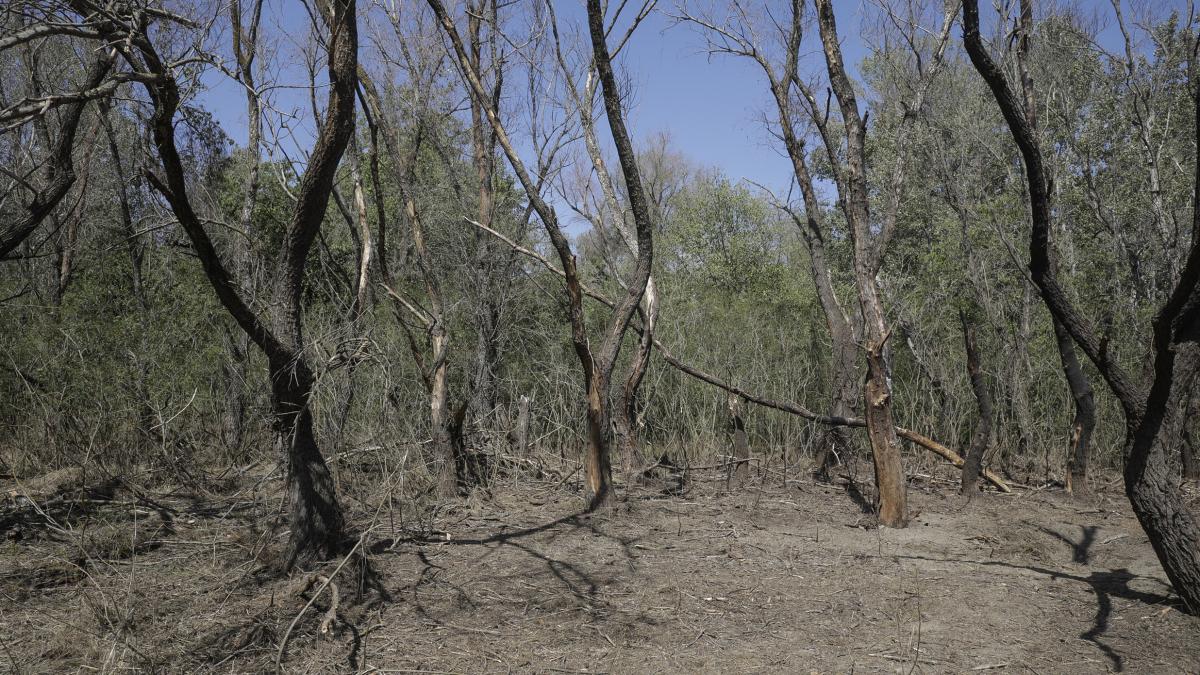 drone-inquam_95297500