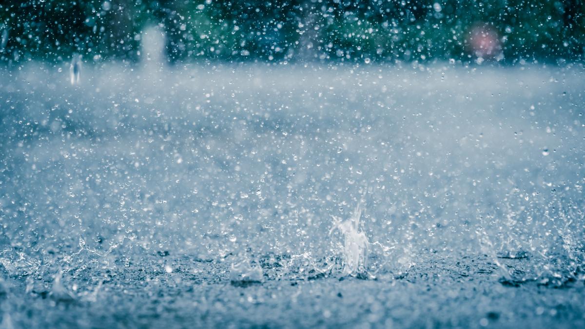 11-judete-in-vestul-si-nord-vestul-romaniei--sub-atentionare-cod-galben-de-instabilitate-atmosferica-pana-vineri-dimineata_83929300