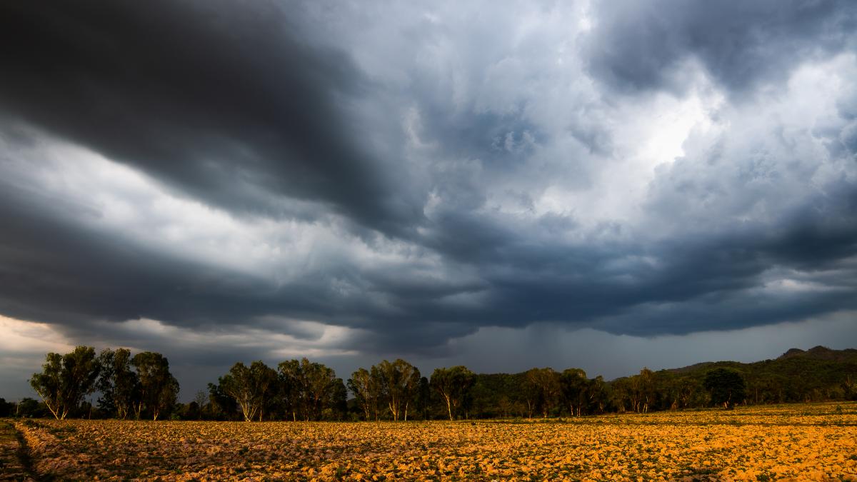 anm--prognoza-meteo-cod-galben-de-ploi-si-vijelii--elena-mateescu--avertizari-de-ultima-ora_37785100