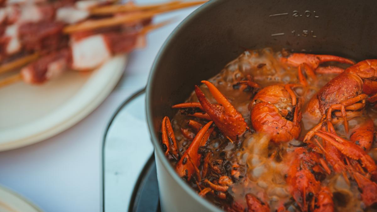 raci-pexels-sonic-12381102_25571900