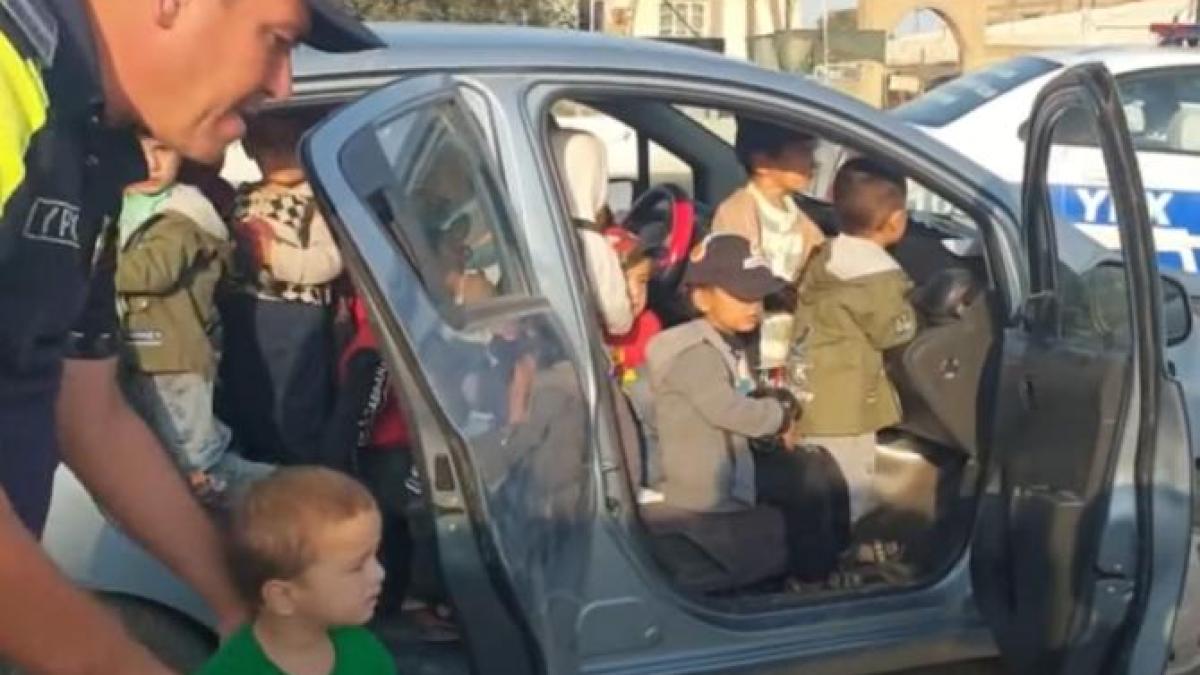 copiimasina_63074900