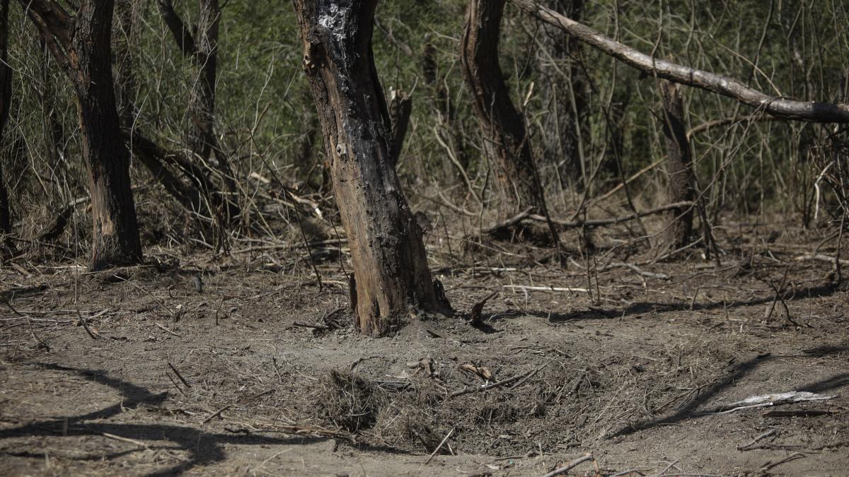 plauru_impact_drona_ruseasca_010_inquam_photos_ovidiu_micsik_22420700