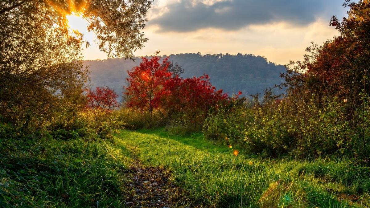 toamna-vreme-frumoasa-alina-serban_31967900