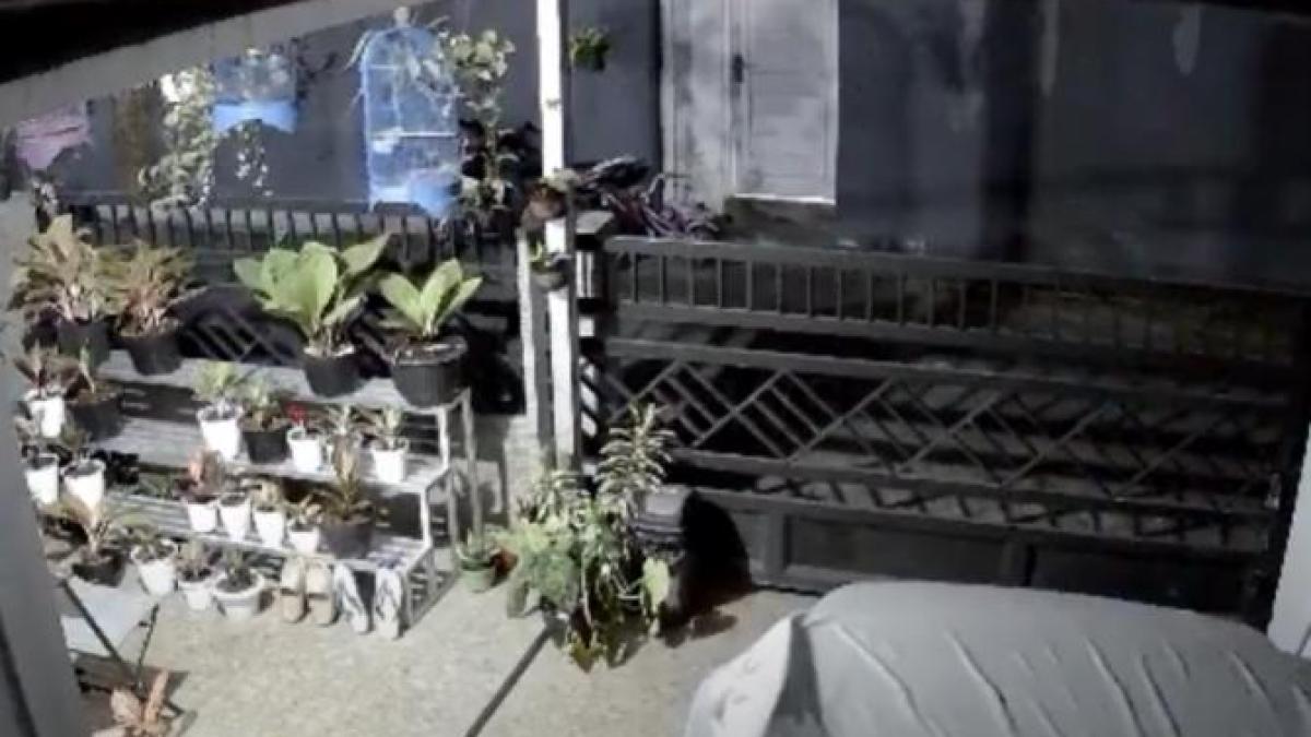 cutremurindonezia_91455500