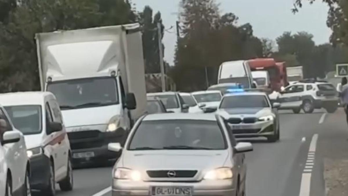 urmariregalati_55434700