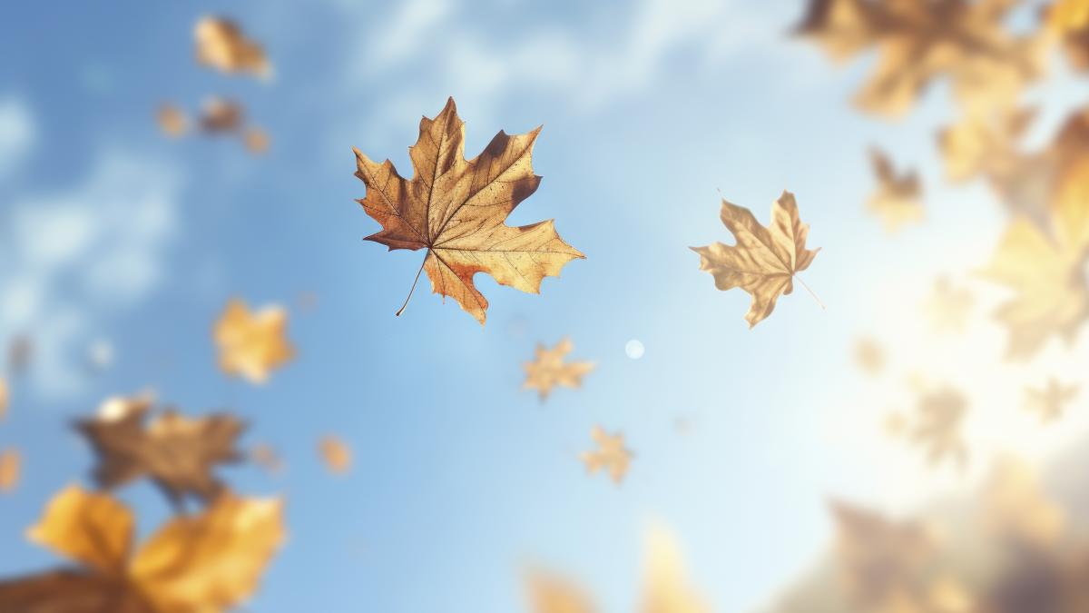 vremea-in-septembrie-elena-mateescu_96718100