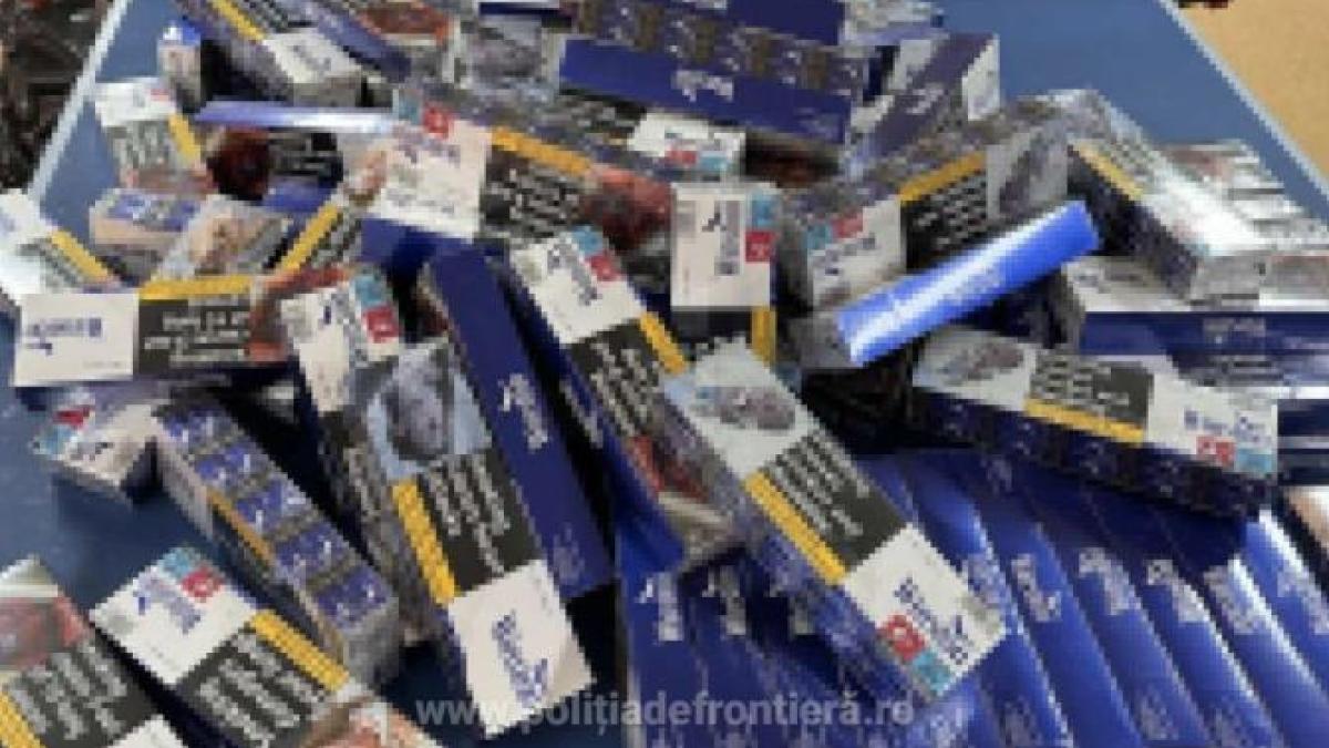 cum reducem riscurile din viata de zi cu zi reducerea riscurilor la frontiera contrabanda mijloace de lupta impactul sistemului de taxare