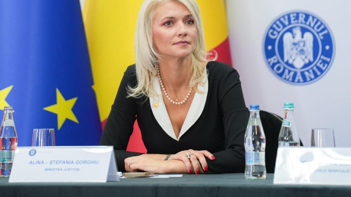 asumarea-masurilor-fiscale--alina-gorghiu-ministerul-justitiei-a-facut-niste-observatii-care-s-au-regasit-intr-un-aviz-favorabil_72519100