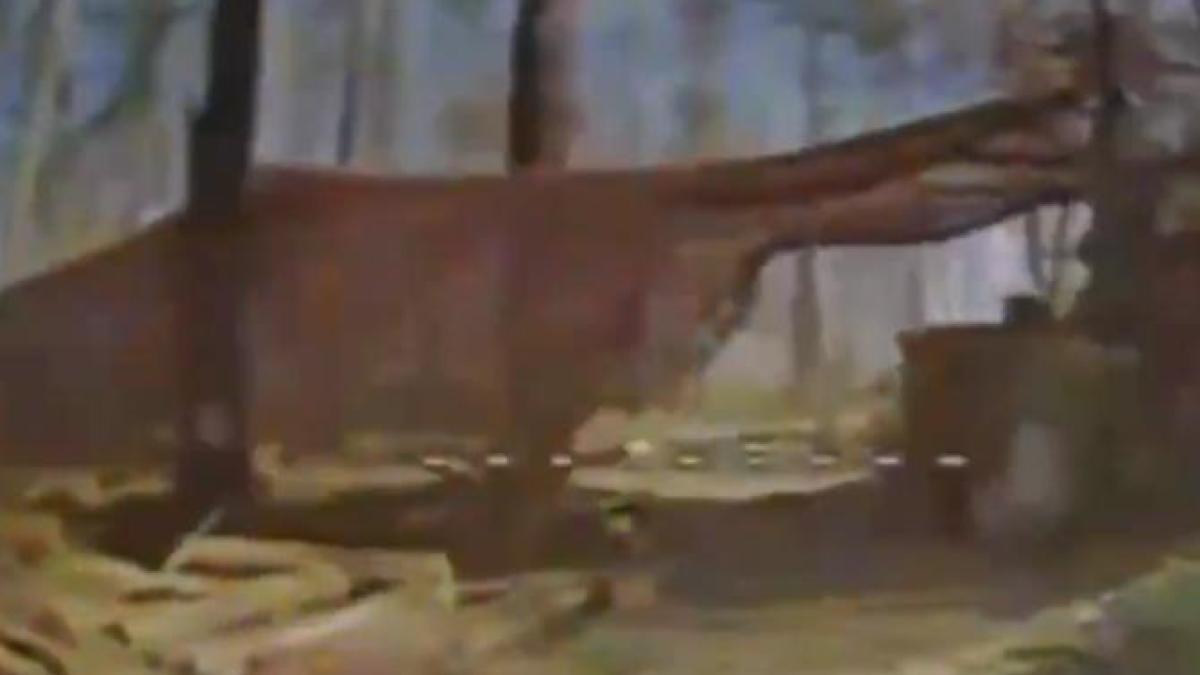 dronaucraina_77926400