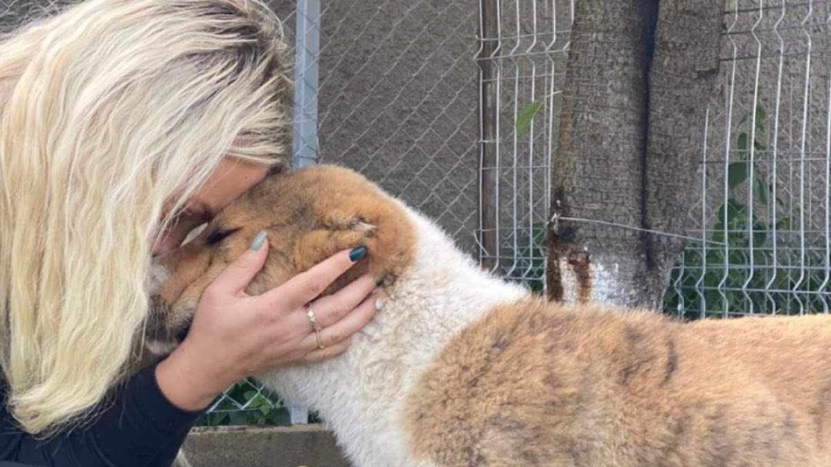 ea-este-camelia--tanara-din-focsani-gasita-moarta-intr-o-masina--era-mama-a-trei-copii_58890100