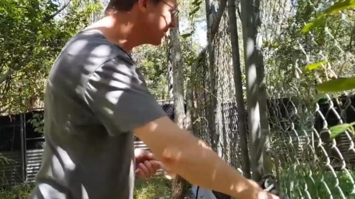 adambritton_47103900