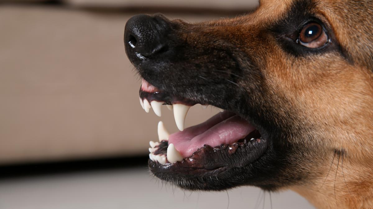 caine-biden_02722700