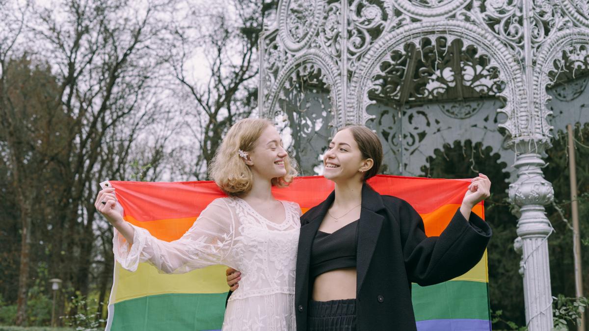 parteneriat-civil-presedintele-cncd_88559900