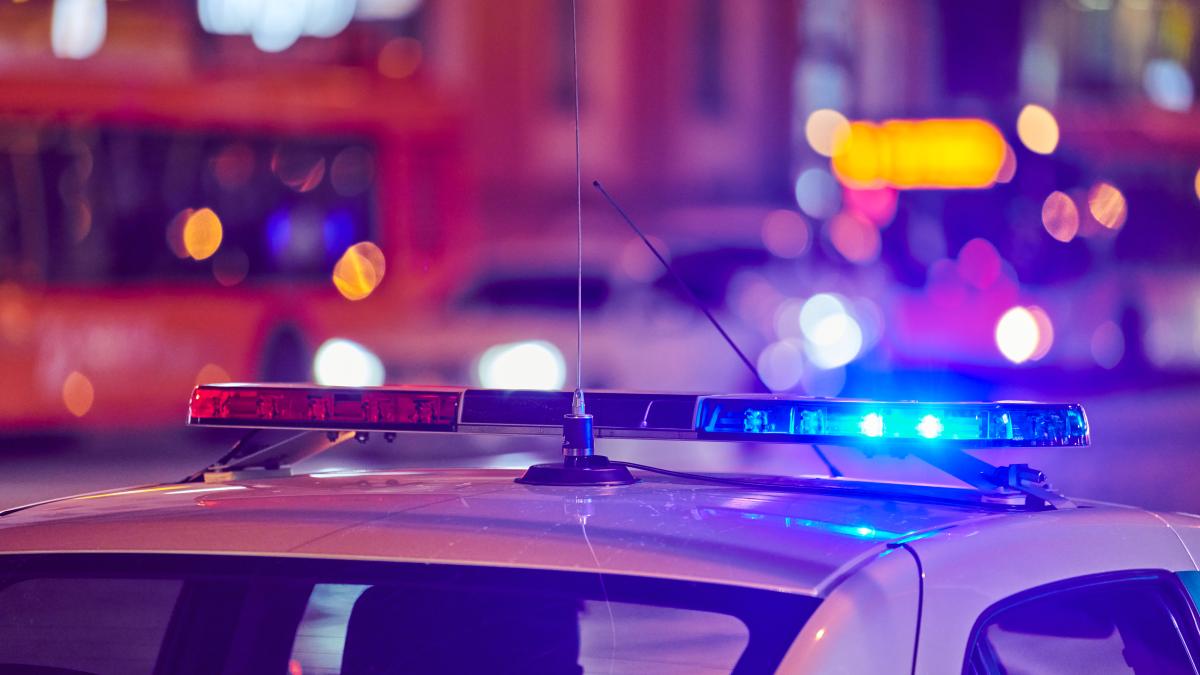 opt-persoane-din-buzau--intre-care-si-doi-profesori--arestate-preventiv-30-de-zile-pentru-trafic-de-droguri_27074700