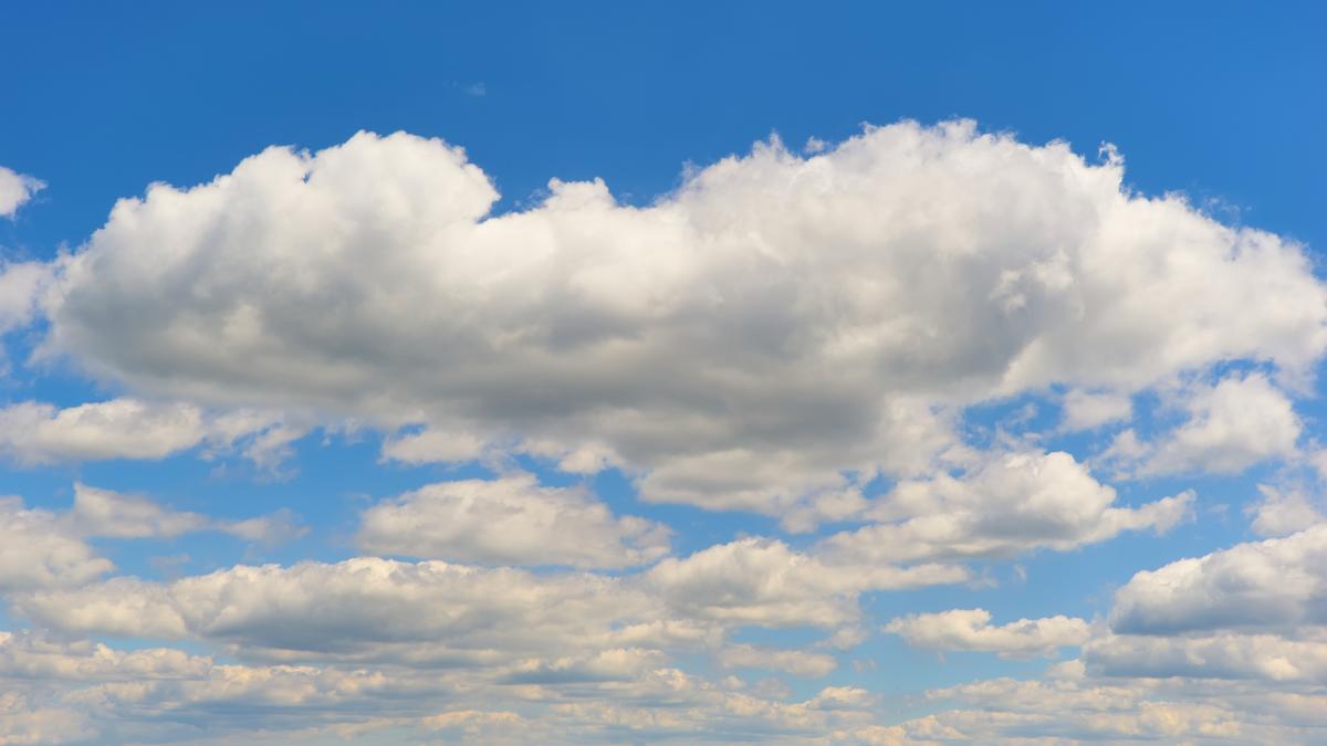 cercetatorii-japonezi-au-gasit-microplastice-in-nori--pot-contribui-la-incalzirea-globala_75134100