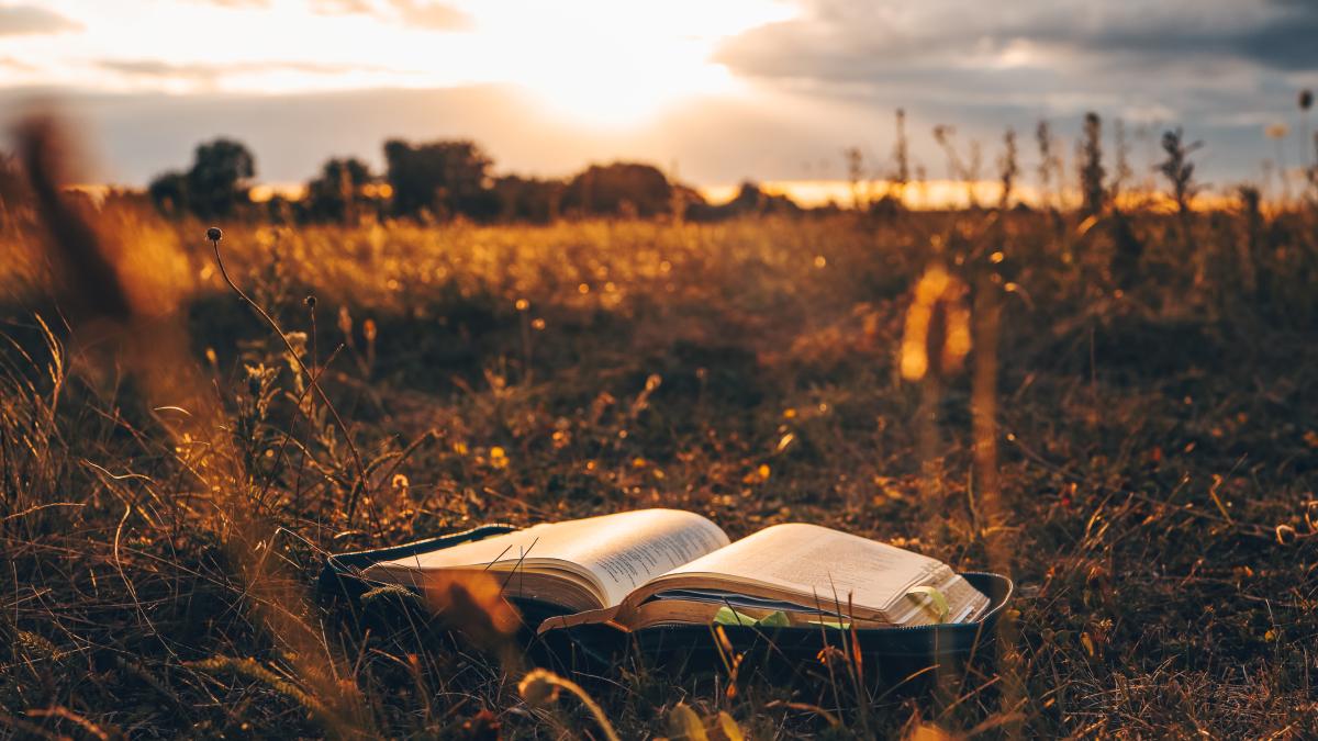 calendar-crestin-ortodox--sarbatoare-29-septembrie-2023_59557300