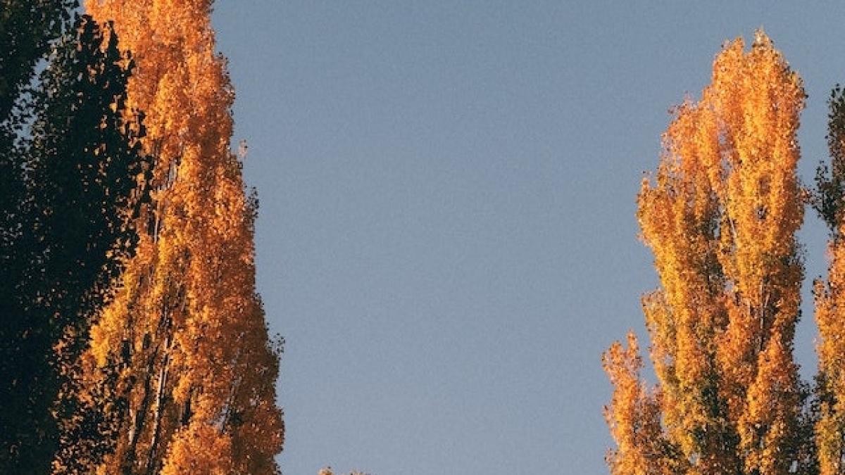 vremea-septembrie-octombrie-toamna-dcnews-pexels_73675600