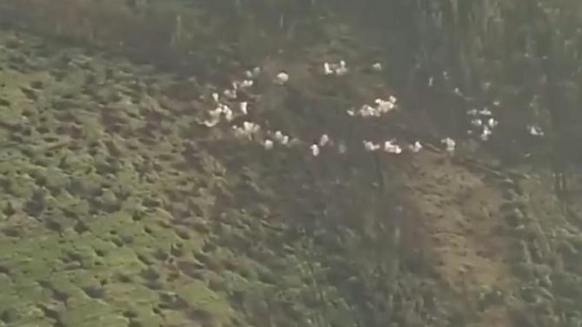 bombardamentucraina_00566000