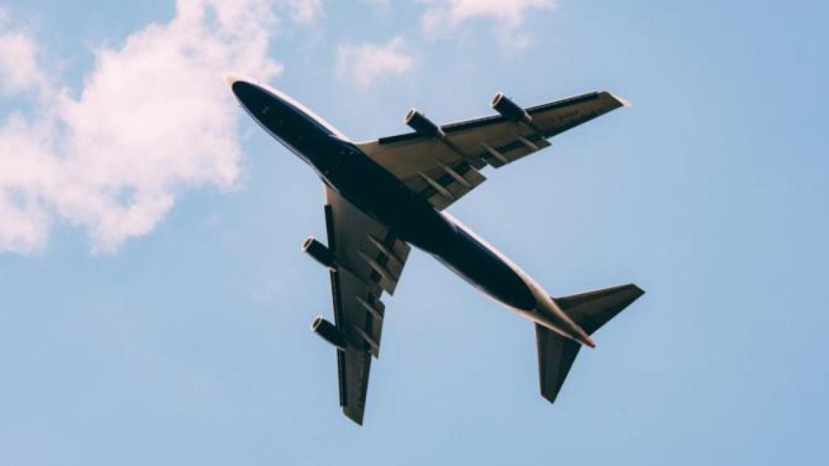 activistii-de-mediu-critica-noile-zboruri-de-lux-pentru-animalele-de-companie_20875000