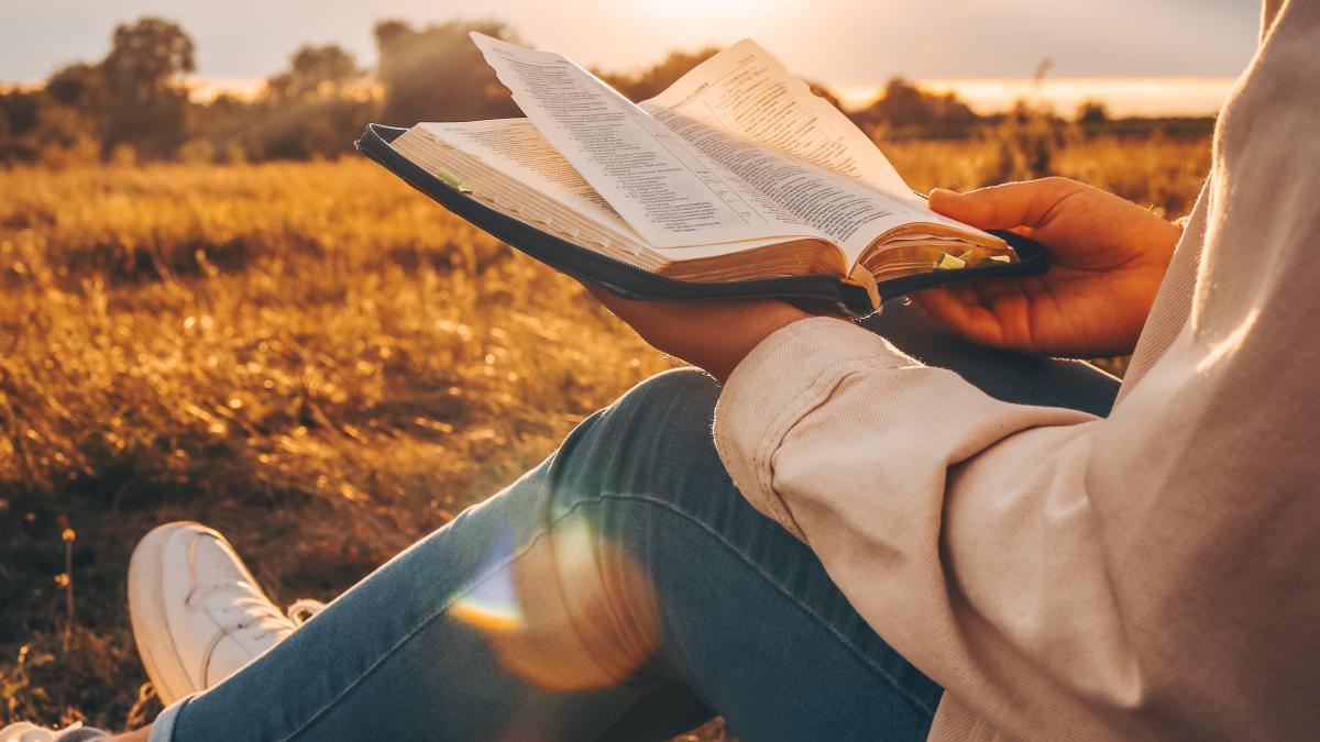 calendar-crestin-ortodox-sarbatoare-2-octombrie_75115300