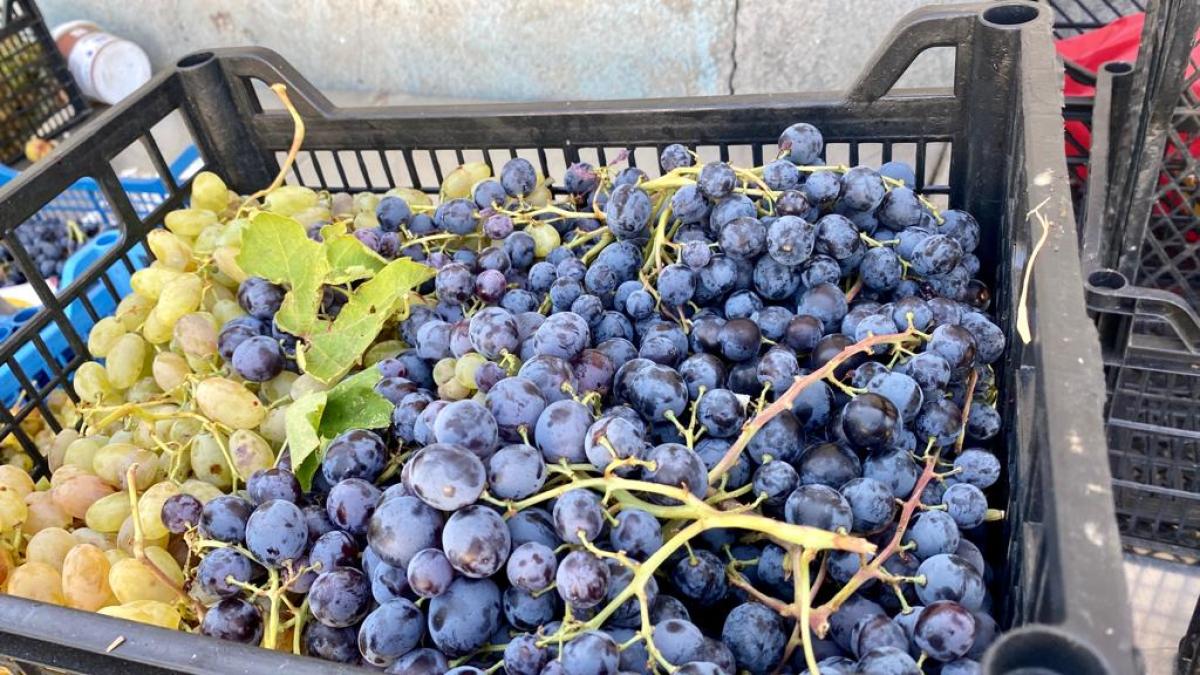 fbf83c51-8e38-46f8-8f1e-9667bcb1d44e_17006800