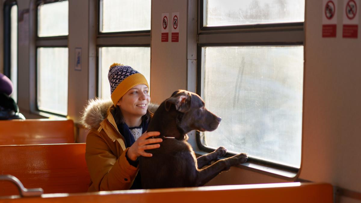 caine-in-tren_71549000