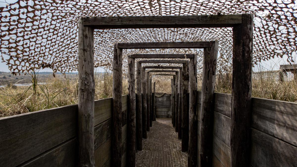 partizani-transee-crimeea_64376400