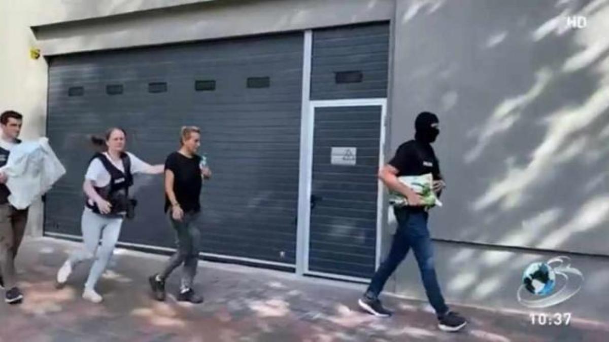 miruna-pascu-stenograme-vlad-pascu_50193600