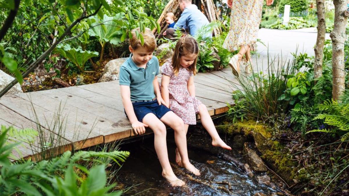 copii-william_17948400