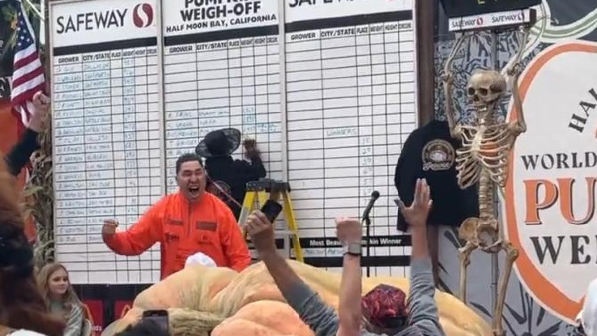 celmaimaredovleac_01877600