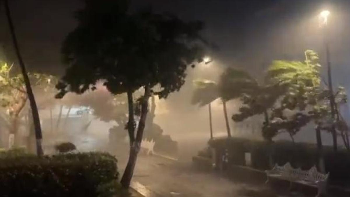 uraganlidiamexic_76658700