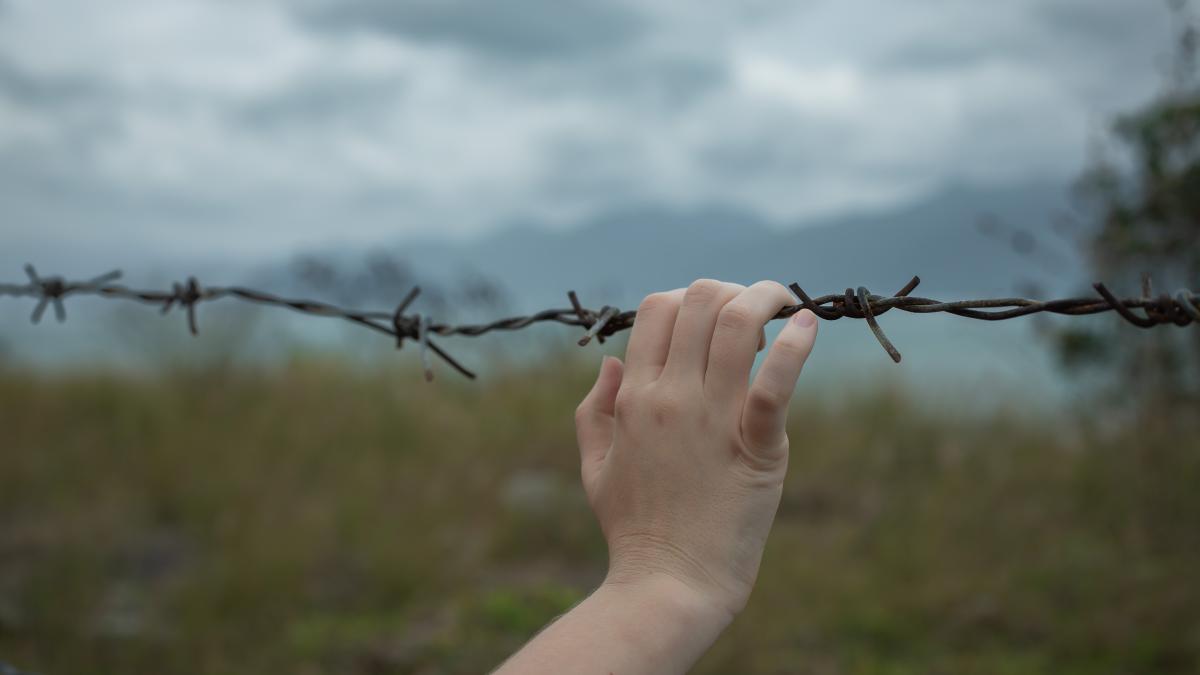 ce-este-grupul-samidoun--interzis-in-germania--dupa-atacarea-israelului_08411200