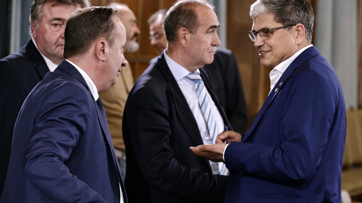 caciu-bolos-guvern-gov-ro_11643600