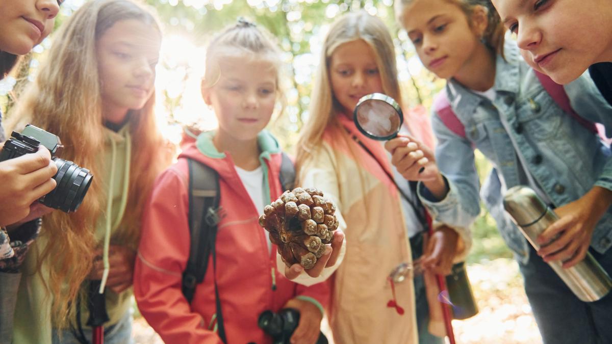 scoala-altfel_46788100