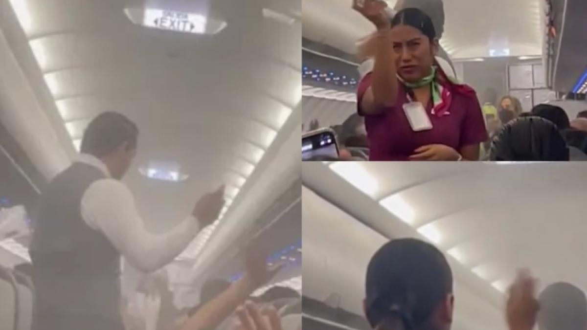 tantari-in-avion_66295600