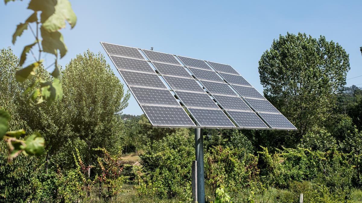 panourisolare_13196300