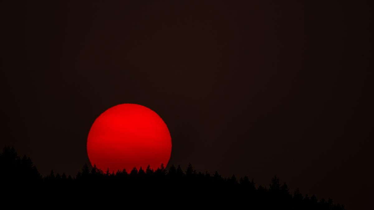 pexels-chris-leboutillier-9701116_26453400