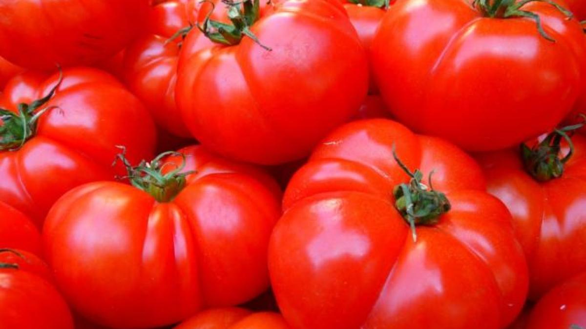 rosii-tomate-ilustrativ-pxhere_79266900