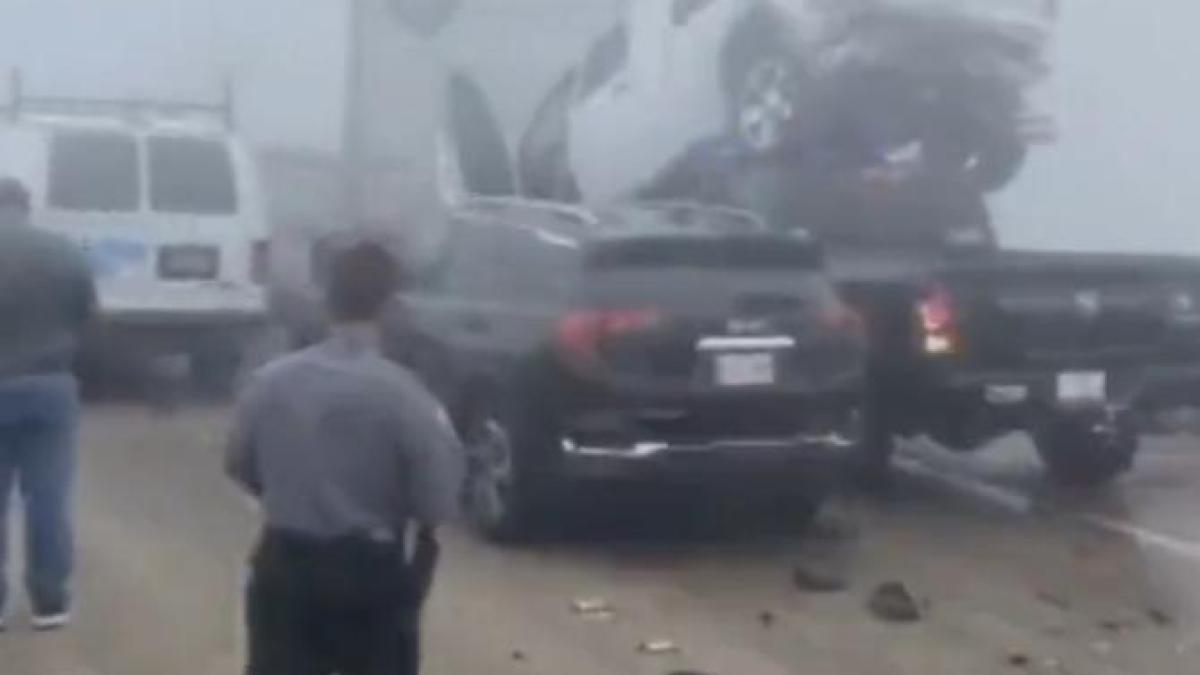 caramboluri_65513500