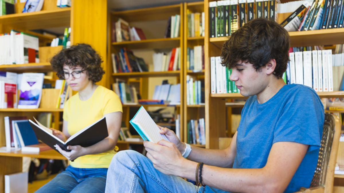 radu-mihail--indemn-pentru-statul-romani--privind-institutul-limbii-romane-din-diaspora-hai-sa-ne-asumam-sa-ii-dam-fonduri--sa-ii-dam-responsabilitati_85262700