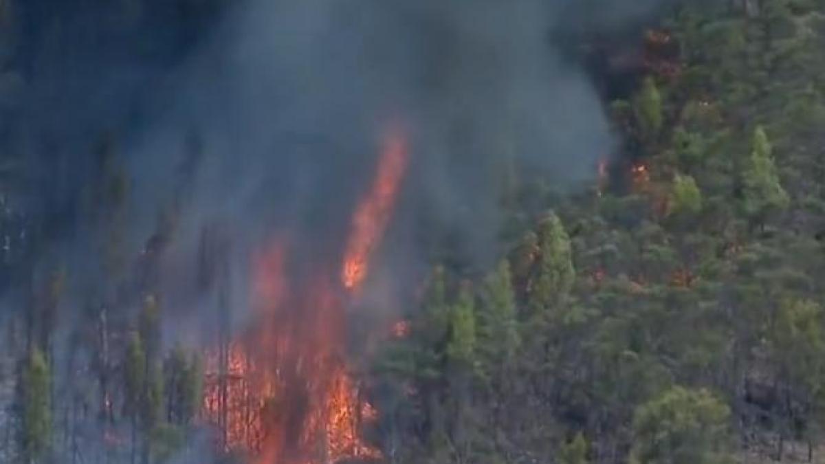 incendiuaustralia_76179400