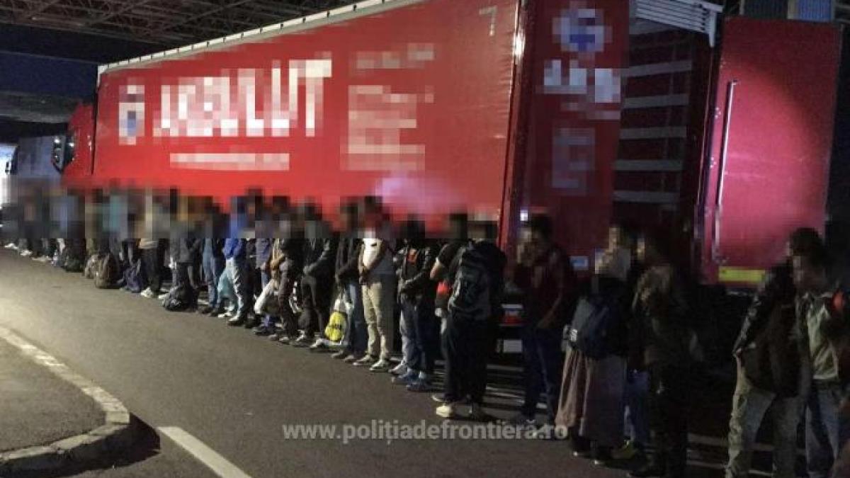 23-de-migranti-din-pakistan--sri-lanka--etiopia-si-bangladesh-au-incercat-sa-iasa-din-tara--ascunsi-printre-placile-de-osb_46323400