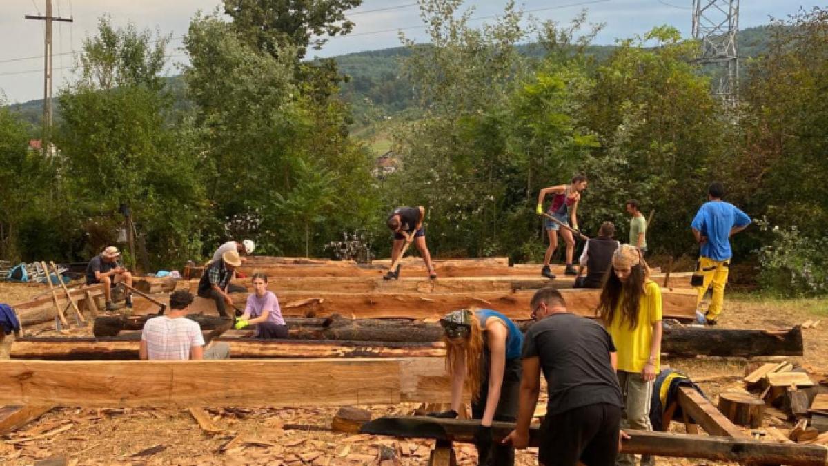 mihai-lehene-voluntariat_23839700