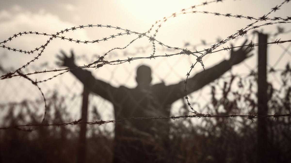 prisonier-eliberat_91509600