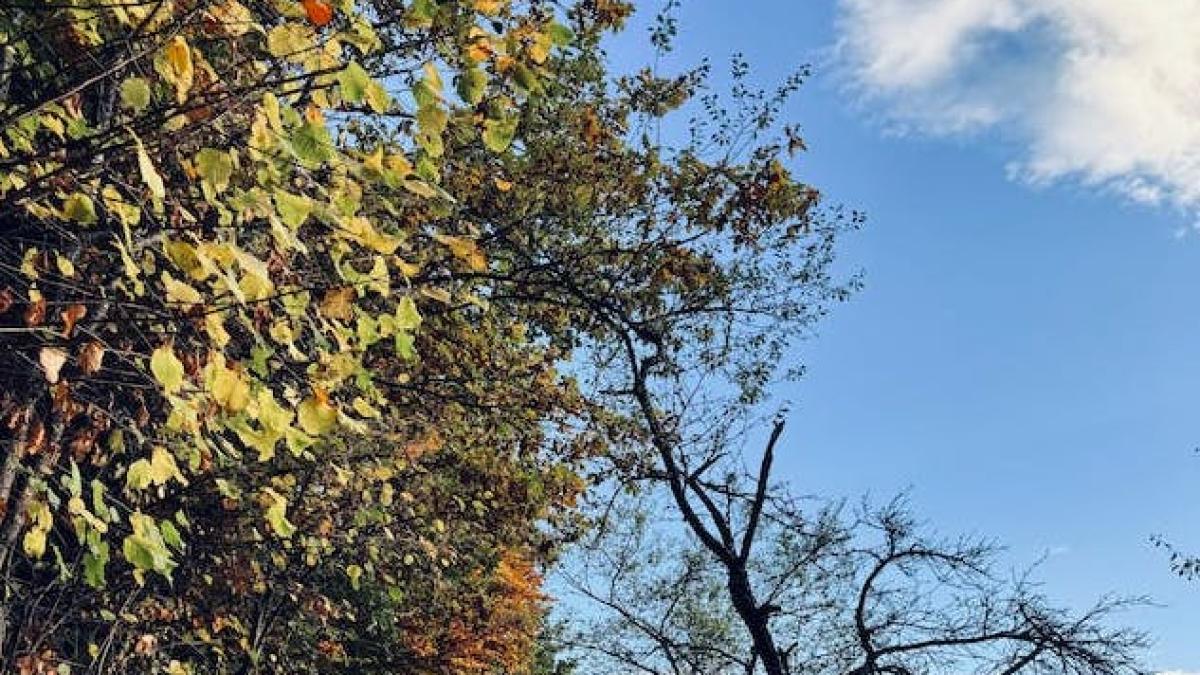 toamna-vreme_93439400