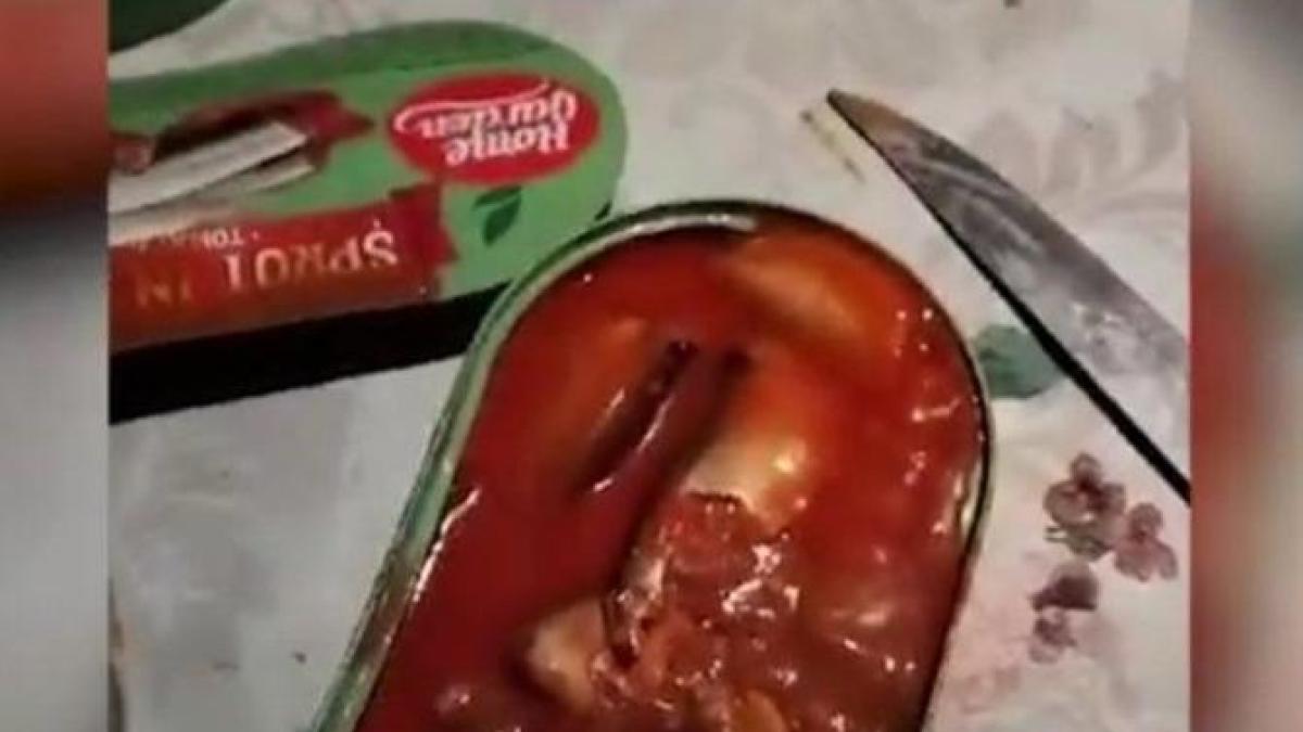 peste-cu-viermi_65308300