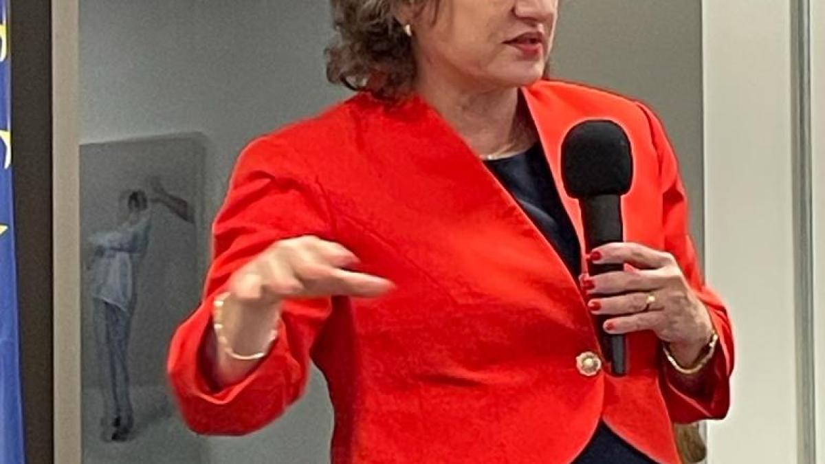 diaspora-medicala--rol-si-insemnatate--consilierul-prezidential-dr--diana-paun--interviu-pentru-dc-media-grup-video_49395700