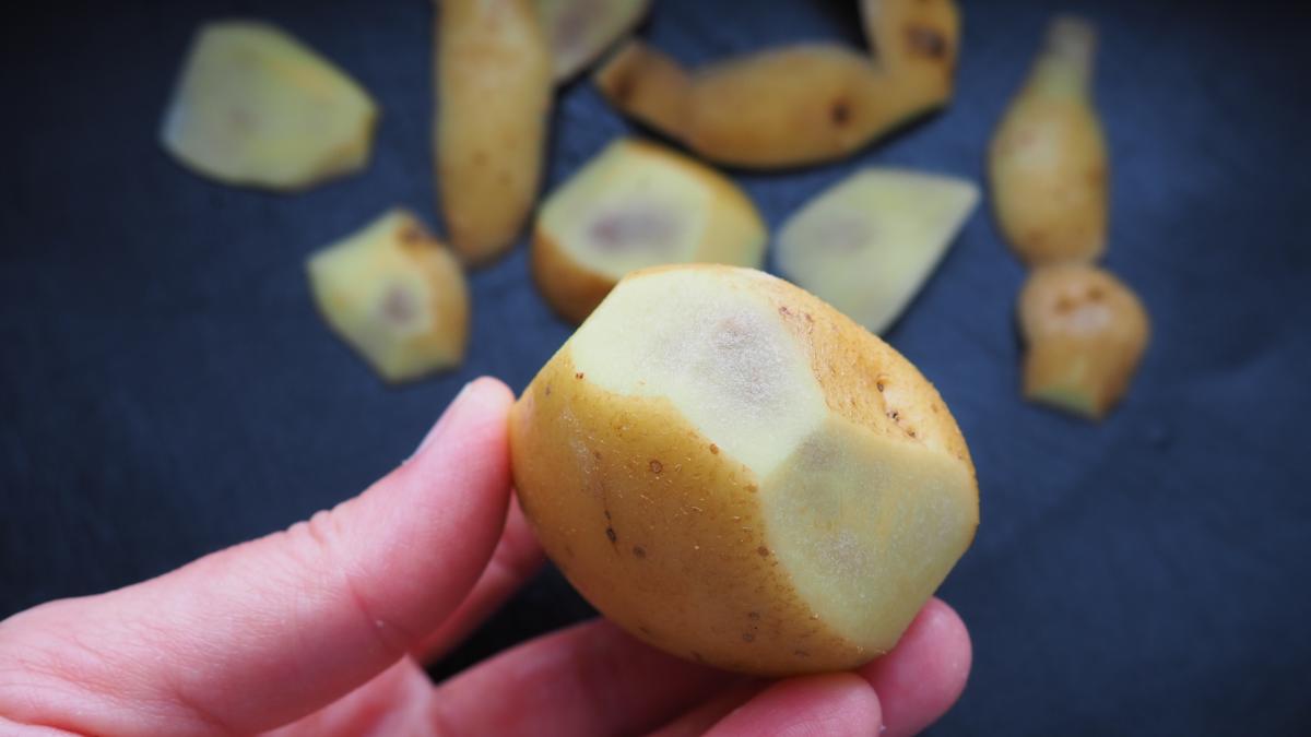 cartof-stricat_41595200