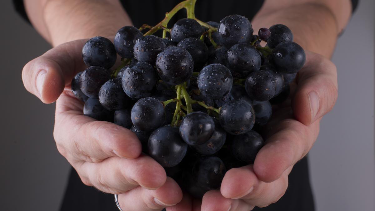 de-ce-sa-mancam-struguri-romanesti--vlad-ciurea--despre-beneficiile-sale-prc-e2prc-80prc-9deste-foarte-interesant-fenomenulprc-e2prc-80prc-9d_72825800